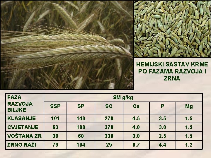 HEMIJSKI SASTAV KRME PO FAZAMA RAZVOJA I ZRNA FAZA RAZVOJA BILJKE SM g/kg SSP