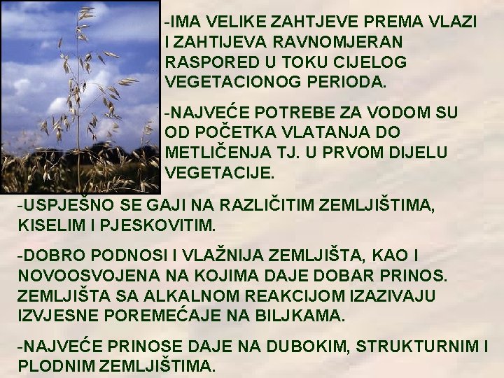 -IMA VELIKE ZAHTJEVE PREMA VLAZI I ZAHTIJEVA RAVNOMJERAN RASPORED U TOKU CIJELOG VEGETACIONOG PERIODA.