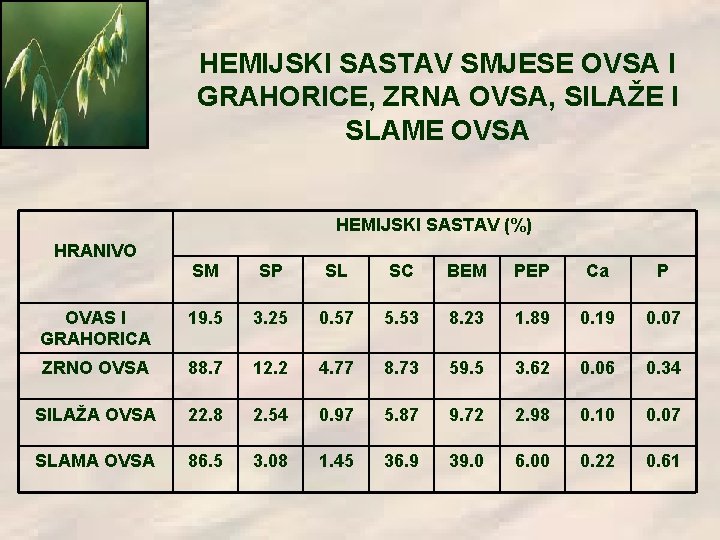 HEMIJSKI SASTAV SMJESE OVSA I GRAHORICE, ZRNA OVSA, SILAŽE I SLAME OVSA HEMIJSKI SASTAV