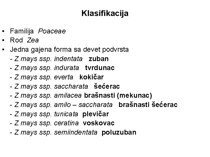 Klasifikacija • Familija Poaceae • Rod Zea • Jedna gajena forma sa devet podvrsta