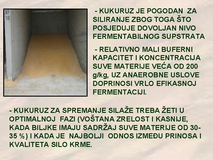 - KUKURUZ JE POGODAN ZA SILIRANJE ZBOG TOGA ŠTO POSJEDUJE DOVOLJAN NIVO FERMENTABILNOG SUPSTRATA