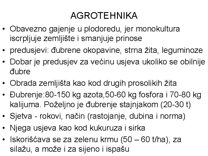 AGROTEHNIKA • Obavezno gajenje u plodoredu, jer monokultura iscrpljuje zemljište i smanjuje prinose •