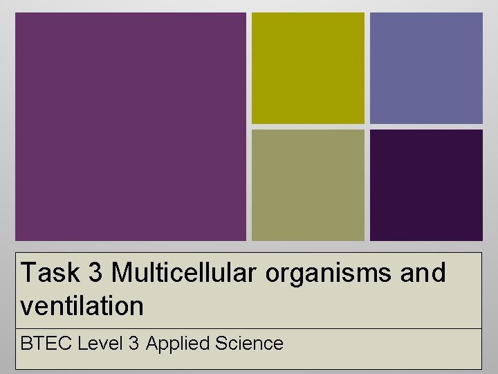 Task 3 Multicellular organisms and ventilation BTEC Level 3 Applied Science 