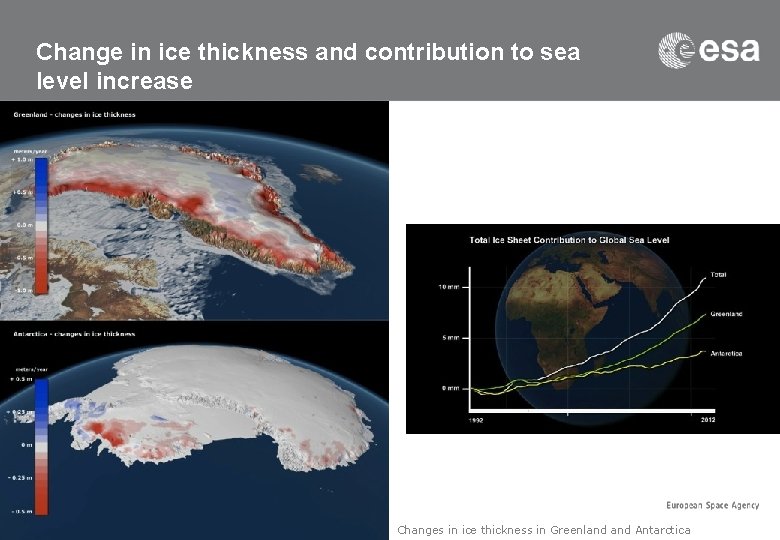 Change in ice thickness and contribution to sea level increase Changes in ice thickness
