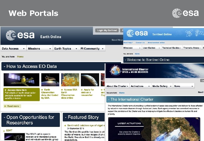 Web Portals 