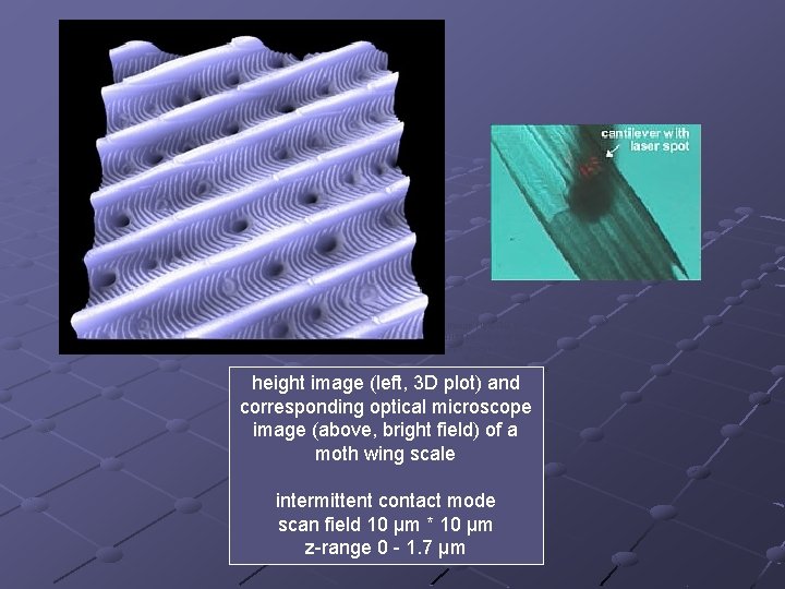  height image (left, 3 D plot) and corresponding optical microscope image (above, bright