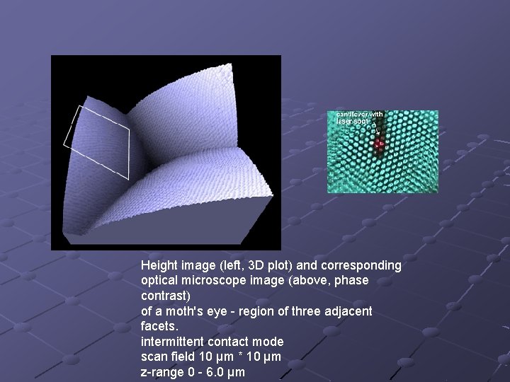 Height image (left, 3 D plot) and corresponding optical microscope image (above, phase contrast)