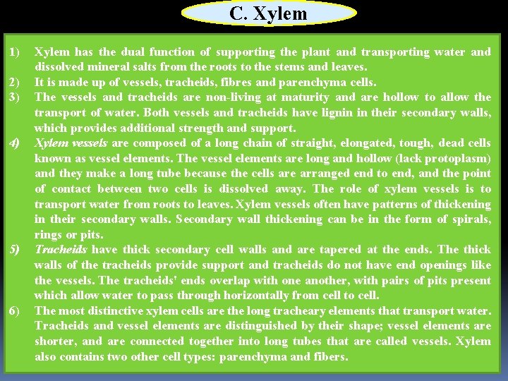 C. Xylem 1) 2) 3) 4) 5) 6) Xylem has the dual function of