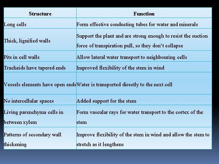 Structure Long cells Thick, lignified walls Function Form effective conducting tubes for water and