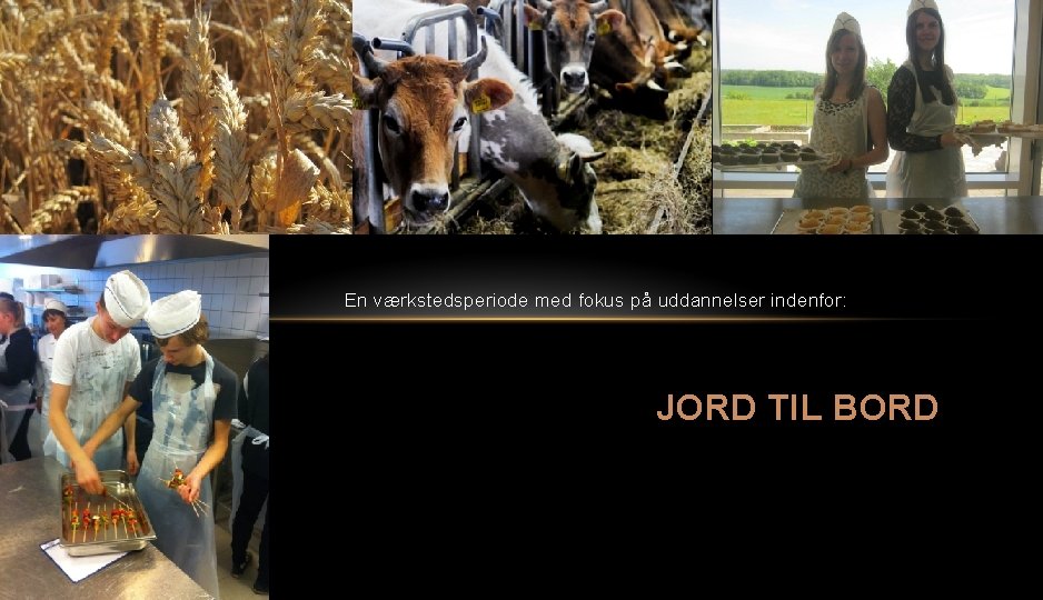 En værkstedsperiode med fokus på uddannelser indenfor: • Landmand • Sundhed og Livsstil JORD