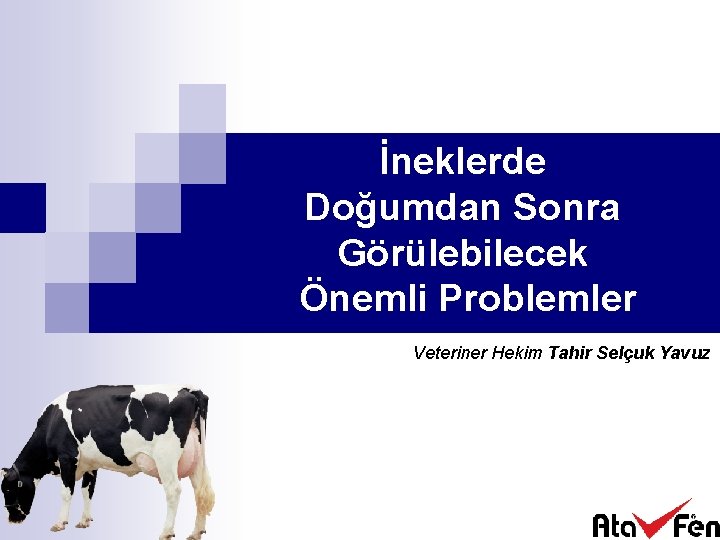 İneklerde Doğumdan Sonra Görülebilecek Önemli Problemler Veteriner Hekim Tahir Selçuk Yavuz 