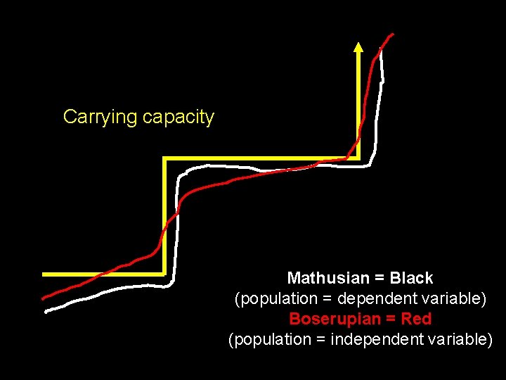 Carrying capacity Mathusian = Black (population = dependent variable) Boserupian = Red (population =