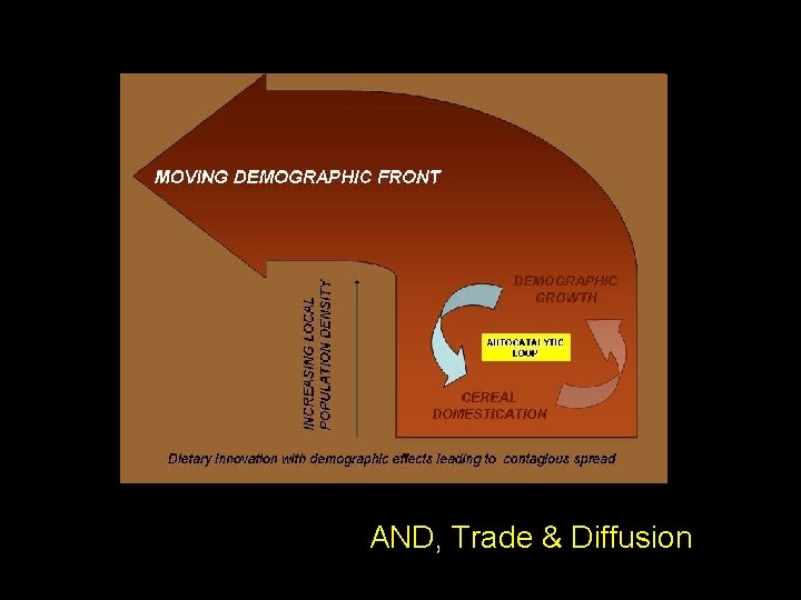 AND, Trade & Diffusion 