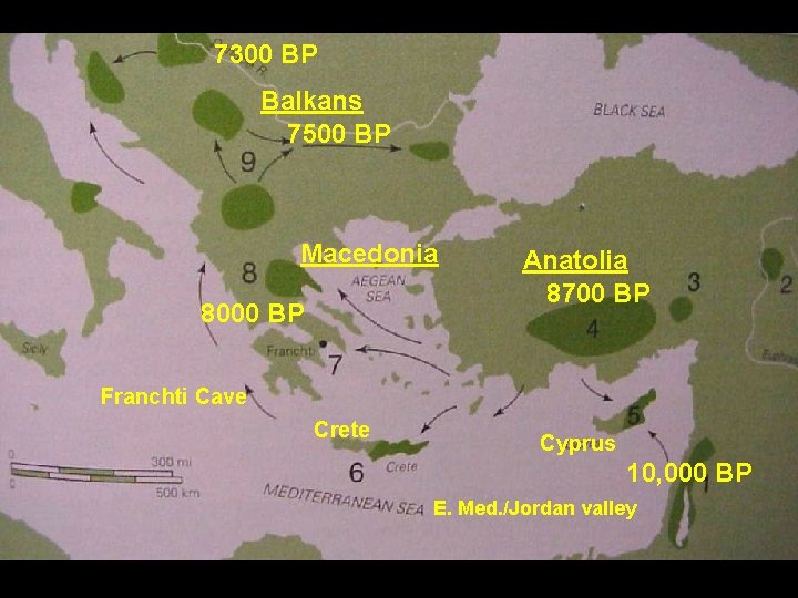 7300 BP Balkans 7500 BP Macedonia 8000 BP Anatolia 8700 BP Franchti Cave Crete