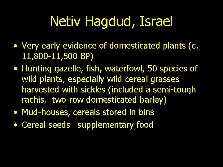 Netiv Hagdud, Israel • Very early evidence of domesticated plants (c. 11, 800 -11,