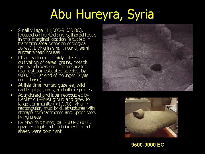 Abu Hureyra, Syria • • • Small village (11, 000 -9, 600 BC), focused