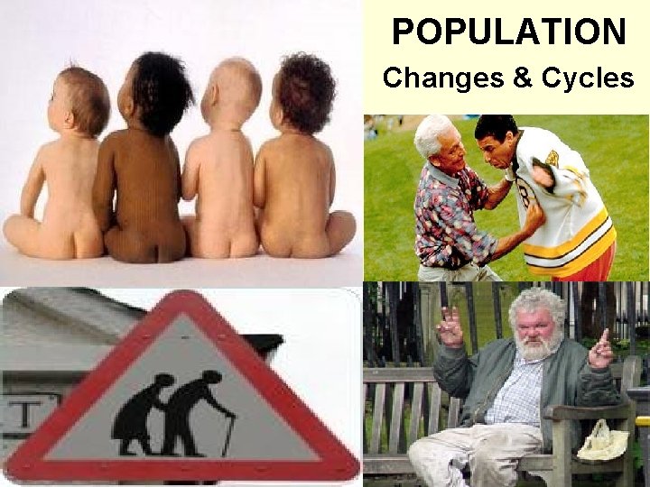 POPULATION Changes & Cycles 