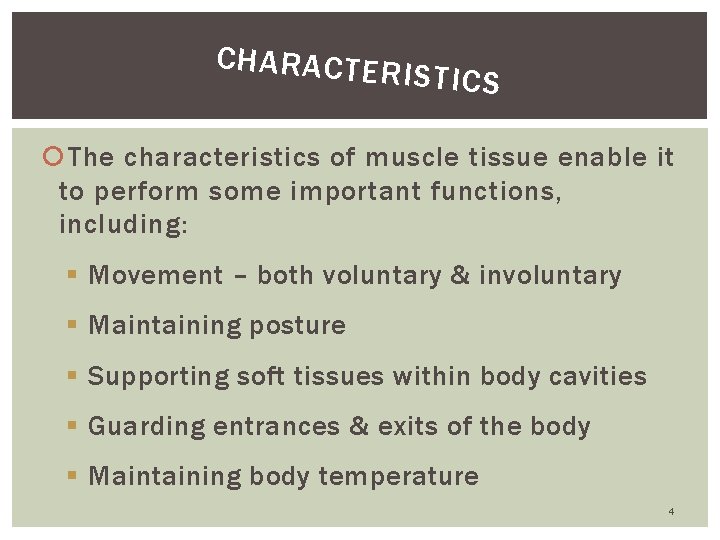 CHARACTER ISTICS The characteristics of muscle tissue enable it to perform some important functions,