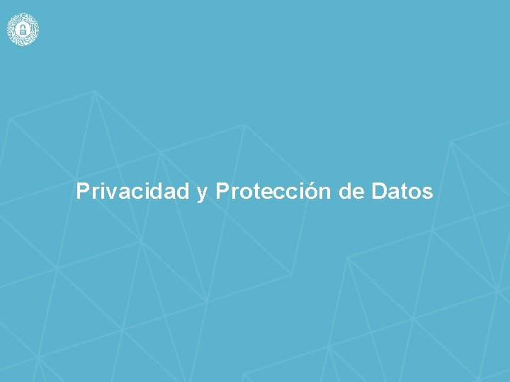 Privacidad y Protección de Datos 