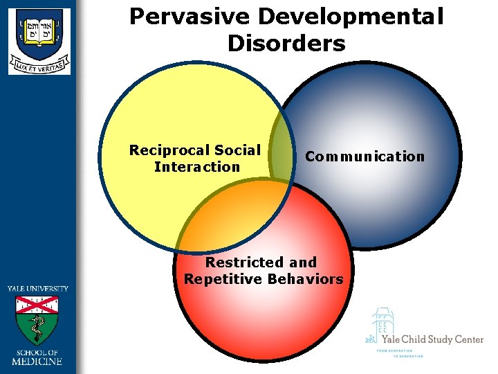 Pervasive Developmental Disorders Reciprocal Social Interaction Communication Restricted and Repetitive Behaviors 