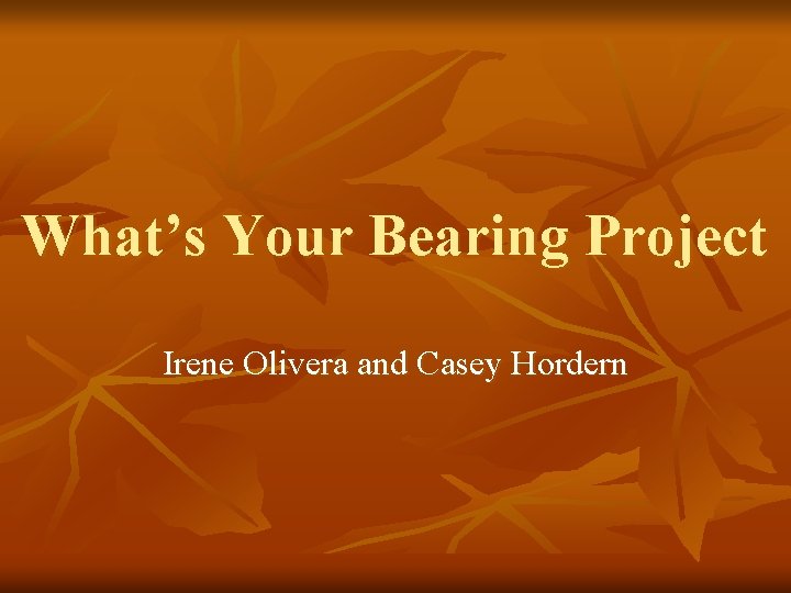 What’s Your Bearing Project Irene Olivera and Casey Hordern 