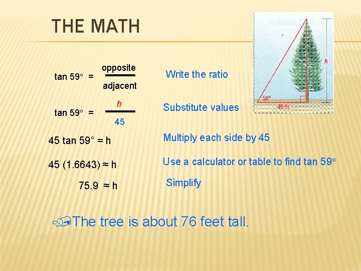 THE MATH tan 59° = opposite Write the ratio adjacent tan 59° = h