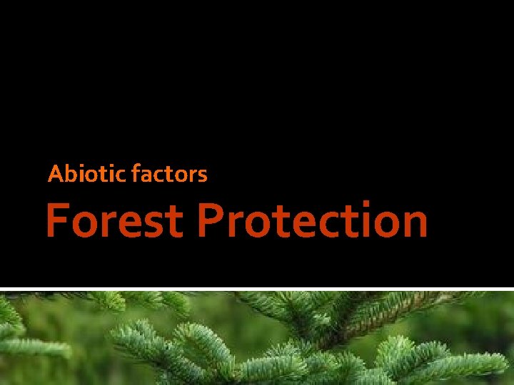 Abiotic factors Forest Protection 