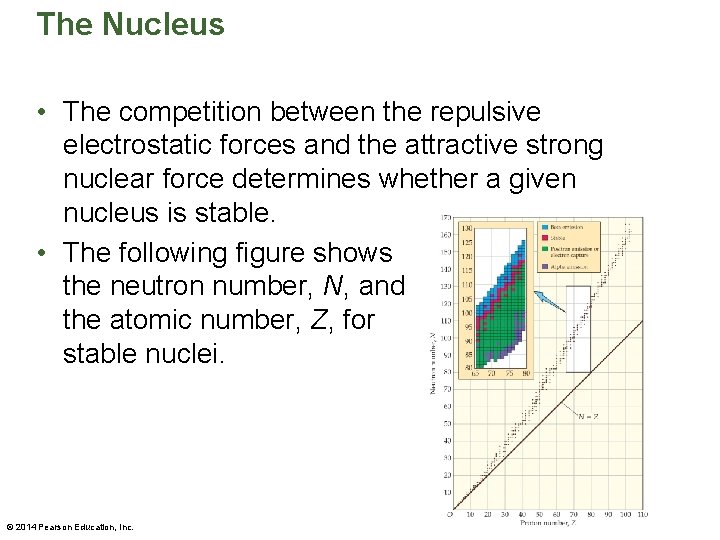 The Nucleus • The competition between the repulsive electrostatic forces and the attractive strong