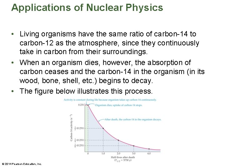Applications of Nuclear Physics • Living organisms have the same ratio of carbon-14 to
