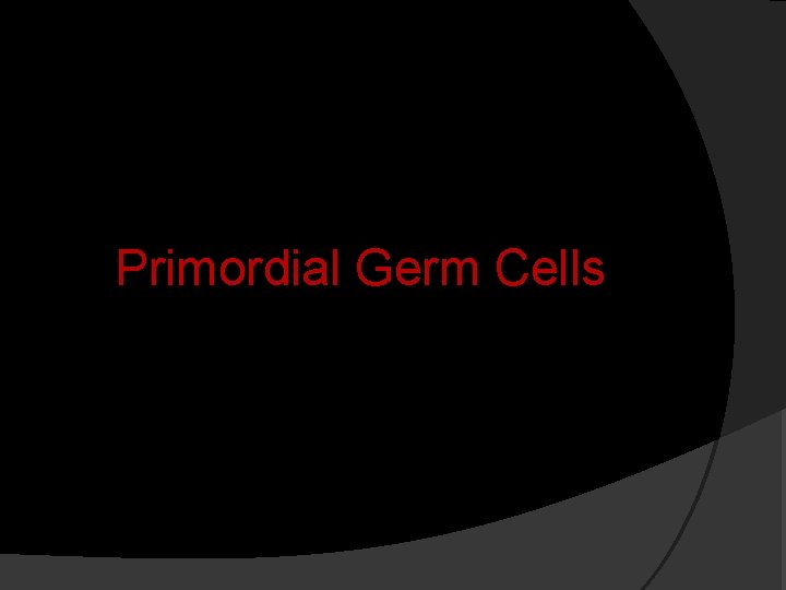 Primordial Germ Cells 