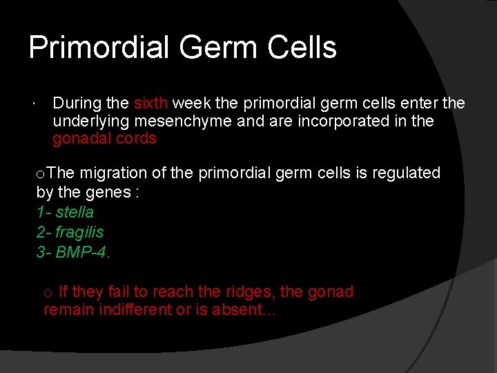 Primordial Germ Cells During the sixth week the primordial germ cells enter the underlying