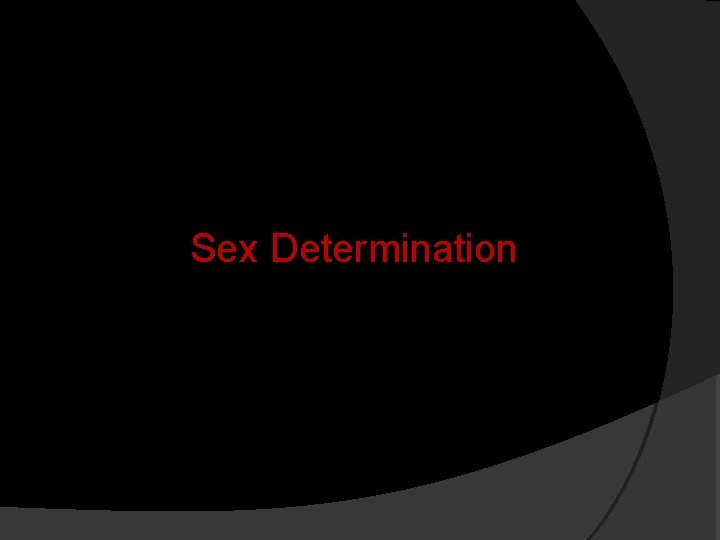 Sex Determination 