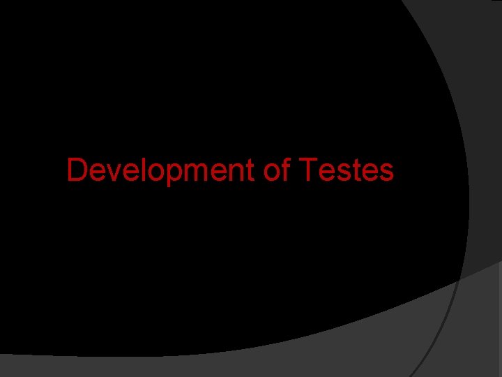 Development of Testes 