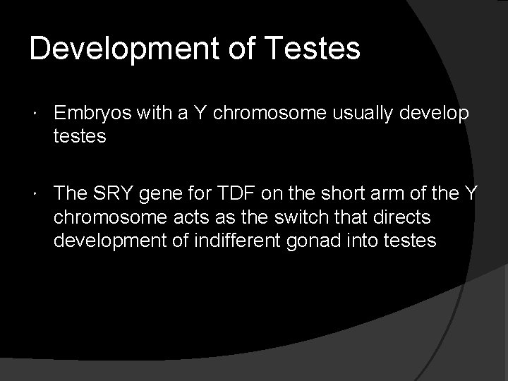 Development of Testes Embryos with a Y chromosome usually develop testes The SRY gene