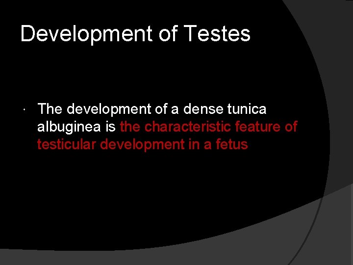 Development of Testes The development of a dense tunica albuginea is the characteristic feature