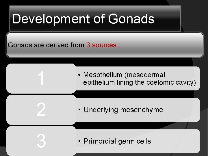 Development of Gonads are derived from 3 sources : 1 • Mesothelium (mesodermal epithelium