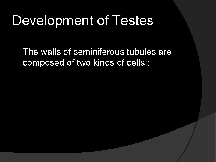 Development of Testes The walls of seminiferous tubules are composed of two kinds of