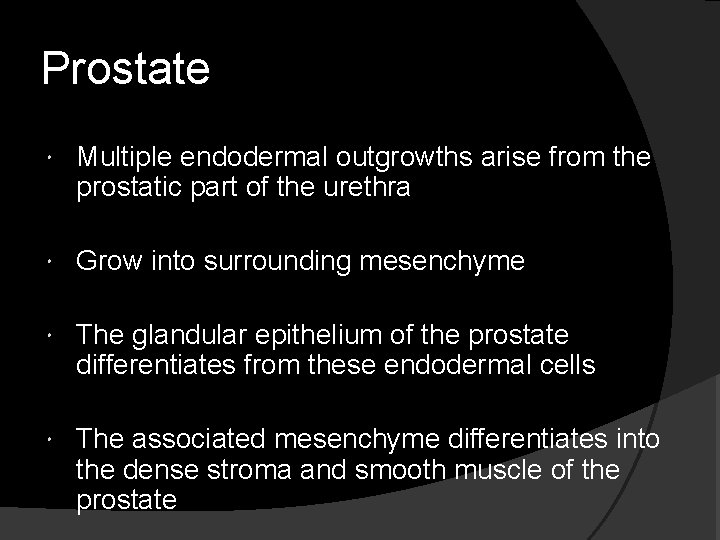 Prostate Multiple endodermal outgrowths arise from the prostatic part of the urethra Grow into