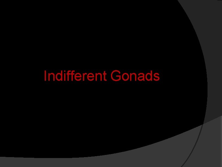 Indifferent Gonads 