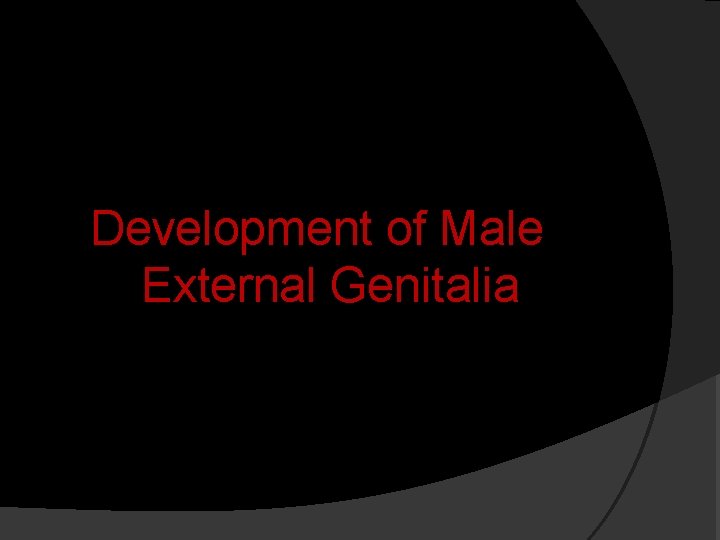 Development of Male External Genitalia 