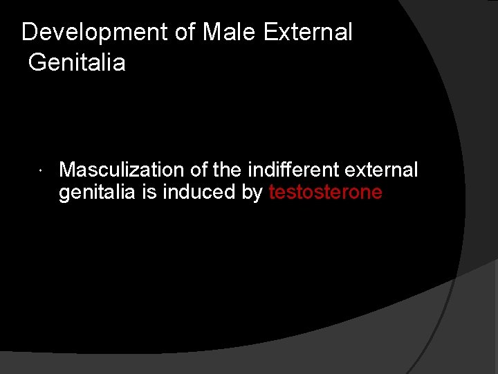 Development of Male External Genitalia Masculization of the indifferent external genitalia is induced by