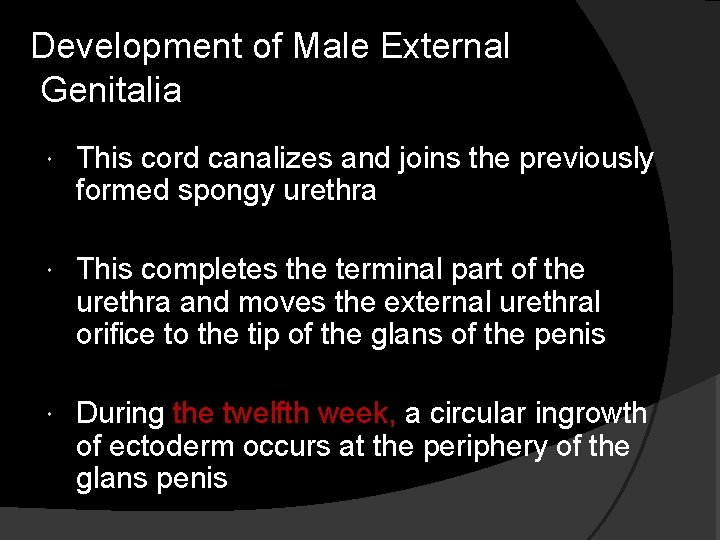 Development of Male External Genitalia This cord canalizes and joins the previously formed spongy