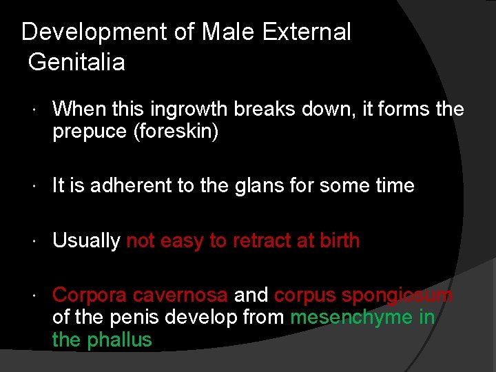 Development of Male External Genitalia When this ingrowth breaks down, it forms the prepuce