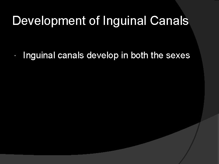 Development of Inguinal Canals Inguinal canals develop in both the sexes 