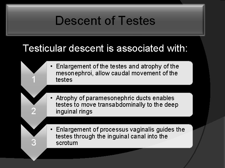 Descent of Testes Testicular descent is associated with: 1 • Enlargement of the testes