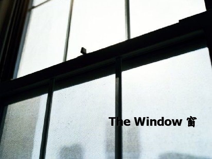 The Window 窗 