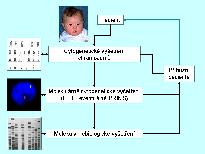 Pacient Cytogenetické vyšetření chromozomů Příbuzní pacienta Molekulárně cytogenetické vyšetření (FISH, eventuálně PRINS) Molekulárněbiologické vyšetření