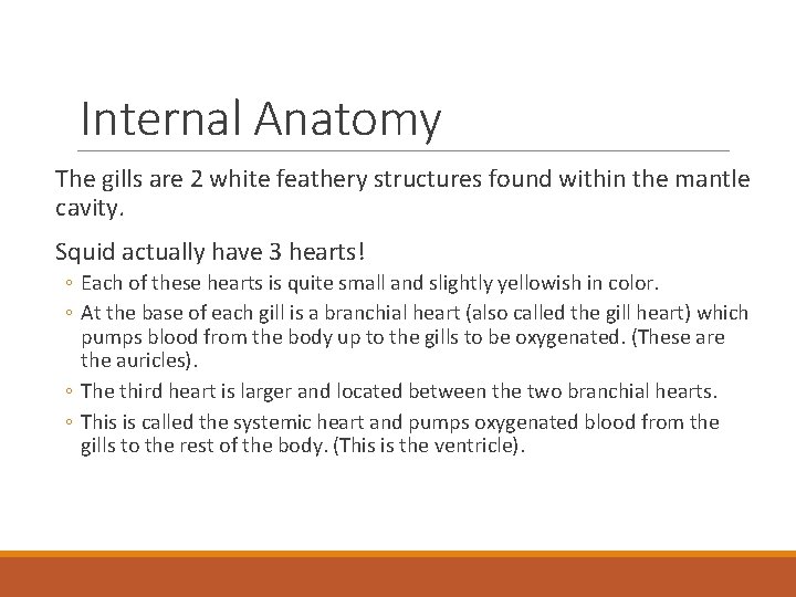 Internal Anatomy The gills are 2 white feathery structures found within the mantle cavity.