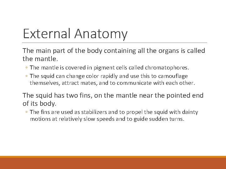 External Anatomy The main part of the body containing all the organs is called