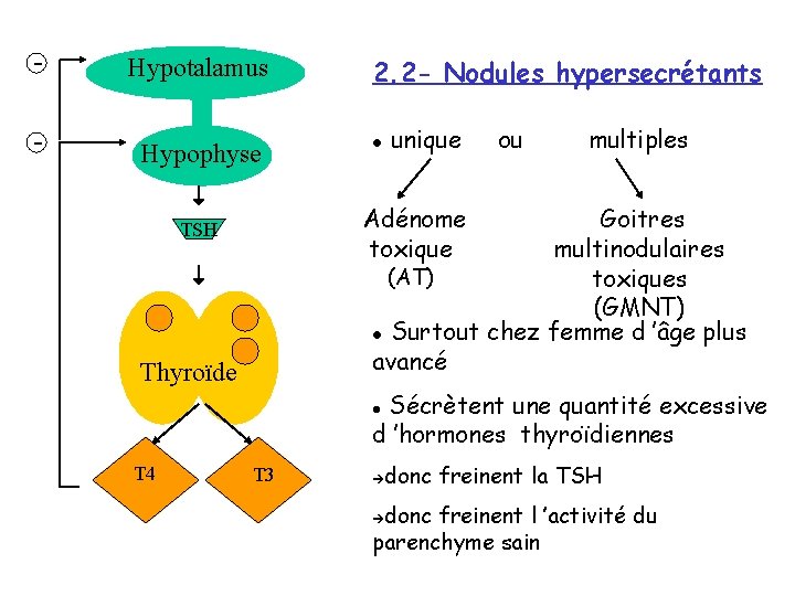 - Hypotalamus - Hypophyse 2. 2 - Nodules hypersecrétants l unique ou multiples Adénome